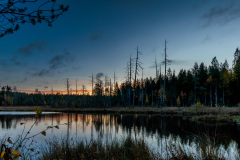 73A6481_20250923-HDR