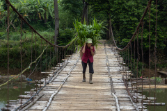 Working-woman